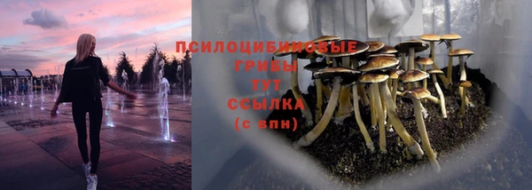 не бодяженный Абаза