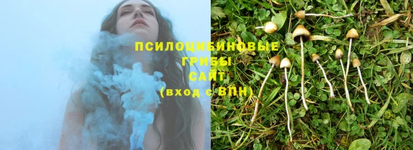 не бодяженный Абаза